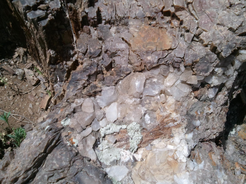 Месторождение окаменелого дерева (опал)